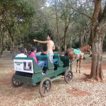 Carriage service in the Tati Yupi sanctuary